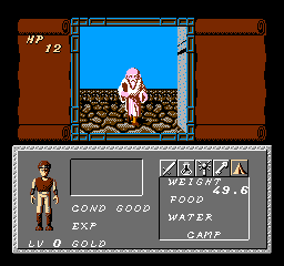 Dungeon Magic: Sword Of The Elements (NES)   © Taito 1989    3/3