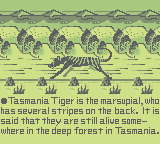 Tasmania Story (GB)   © FCI 1990    2/3