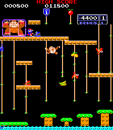 Donkey Kong Jr. (ARC)   © Nintendo 1983    2/3