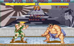 Street Fighter II (PC)   © U.S. Gold 1992    3/3
