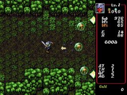 Dungeon Explorer (1994) (MCD)   © Sega 1994    2/4