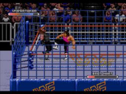 WWF Rage In The Cage (MCD)   © Arena 1994    4/4