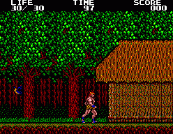 Danan The Jungle Fighter (SMS)   © Sega 1990    2/3