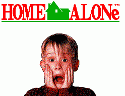 Home Alone (SMS)   © Sega 1993    1/3