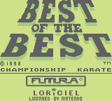 Best Of The Best: Championship Karate (GB)   © Electro Brain 1992    1/3