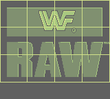 WWF Raw (GB)   © LJN 1994    1/3