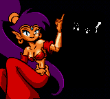 Shantae (GBC)   © Capcom 2002    5/5