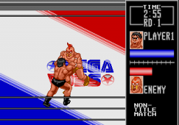 Wrestle War (SMD)   © Sega 1991    2/3