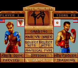 Best Of The Best: Championship Karate (SNES)   © Electro Brain 1992    2/3