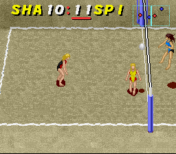 Dig & Spike Volleyball (SNES)   © Hudson 1992    3/3