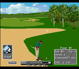 PGA Tour '96 (SNES)   © Black Pearl 1996    3/3