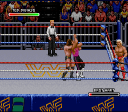 WWF Royal Rumble (SNES)   © LJN 1993    2/4