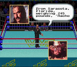 WWF Super Wrestlemania (SNES)   © Acclaim 1992    2/3