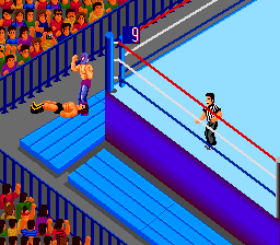 Fire Pro Wrestling: Combination Tag (PCE)   © Human 1989    3/3