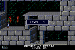 Prince Of Persia (PCCD)   ©  1991    2/5