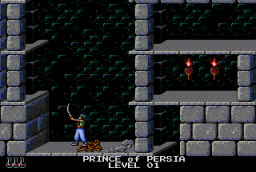Prince Of Persia (PCCD)   ©  1991    5/5