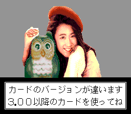 Sexy Idol Mahjong Fashion Monogatari (PCCD)   © Nichibutsu 1994    4/4