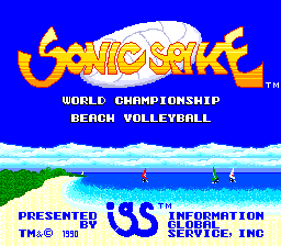 World Beach Volley (PCE)   © IGS Corp. 1990    1/5