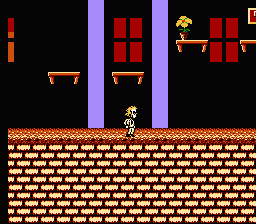 Beetlejuice (NES)   © LJN 1991    3/3