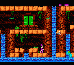 Castle Of Deceit (NES)   © Bunch Games 1990    3/3