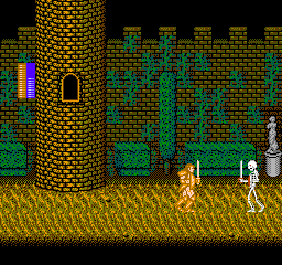 Castle Of Dragon (NES)   © SETA 1990    3/3