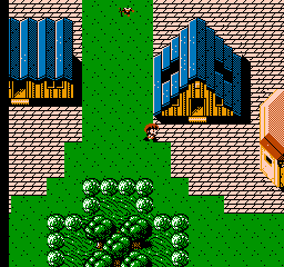 Faria: A World Of Mystery & Danger (NES)   © Nexoft 1989    2/3