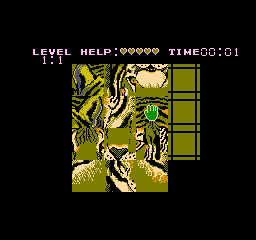 Puzzle (NES) &nbsp; &copy; American Video Entertainment 1991 &nbsp;  2/3