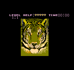 Puzzle (NES) &nbsp; &copy; American Video Entertainment 1991 &nbsp;  3/3