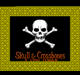 Skull & Crossbones (NES)   © Tengen 1990    1/3