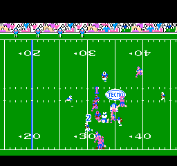 Tecmo Super Bowl (NES)   © Tecmo 1991    3/3