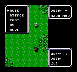Ultima IV (NES)   © FCI 1989    3/3