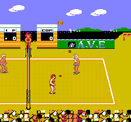 Venice Beach Volleyball (NES)   © American Video Entertainment 1991    2/3