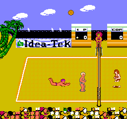 Venice Beach Volleyball (NES)   © American Video Entertainment 1991    3/3