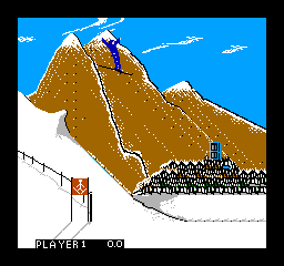 Winter Games   © Acclaim 1987   (NES)    3/3