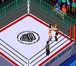 Wrestling Universe: Fire Pro Joshi - Doumu Chou Taisen (PCCD)   © Human 1995    4/4