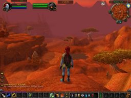 World Of Warcraft (PC)   © VU Games 2004    9/13