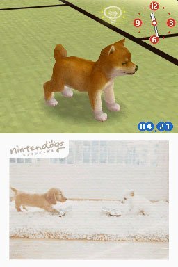 Nintendogs: Chihuahua And Friends (NDS)   © Nintendo 2005    2/3
