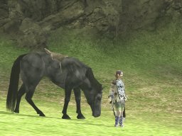 Shadow Of The Colossus (PS2)   © Sony 2005    1/6