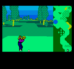 Greg Norman's Golf Power (NES)   © Virgin 1992    3/3