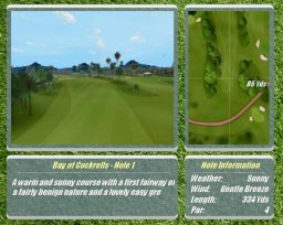Real World Golf (PS2) &nbsp; &copy; Aqua Pacific 2005 &nbsp;  4/5
