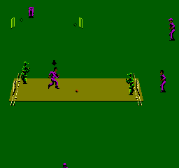 International Cricket (NES)   © Beam Software 1992    3/3