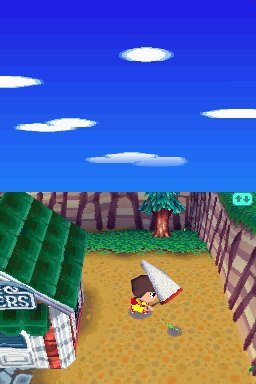 Animal Crossing: Wild World (NDS)   © Nintendo 2005    1/3