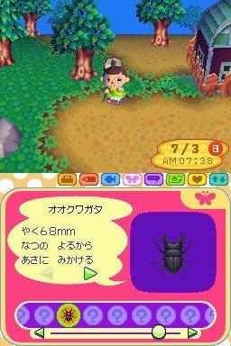 Animal Crossing: Wild World (NDS)   © Nintendo 2005    3/3