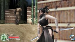 Tenchu: Time Of The Assassins (PSP)   © From Software 2005    1/3
