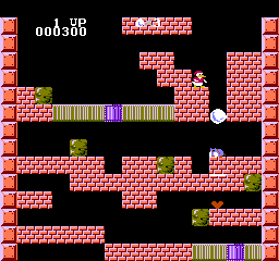 Duck Maze (NES)   © Home Entertainment Suppliers 1990    3/3