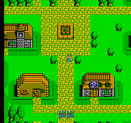 Chaos World (NES)   © Natsume 1991    2/3