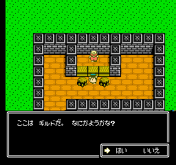 Chaos World (NES)   © Natsume 1991    3/3