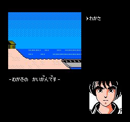 Kujaku Ou (NES)   © Pony Canyon 1988    3/3