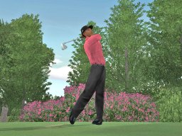 Tiger Woods PGA Tour 07 (XBX)   © EA 2006    2/3