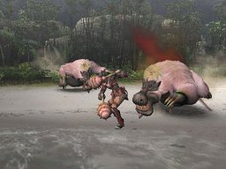Monster Hunter 2 (PS2) &nbsp; &copy; Capcom 2006 &nbsp;  5/6